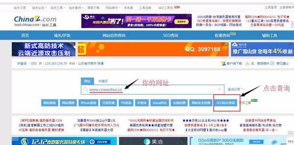 网站空间查询排名-域名频道IDC知识库